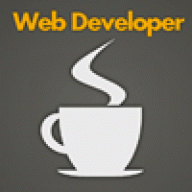 web developer