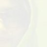 sanaz_s