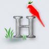 hadi_007