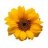 a_zohreh